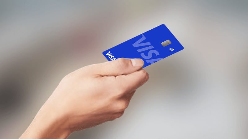 Card Visa in hand